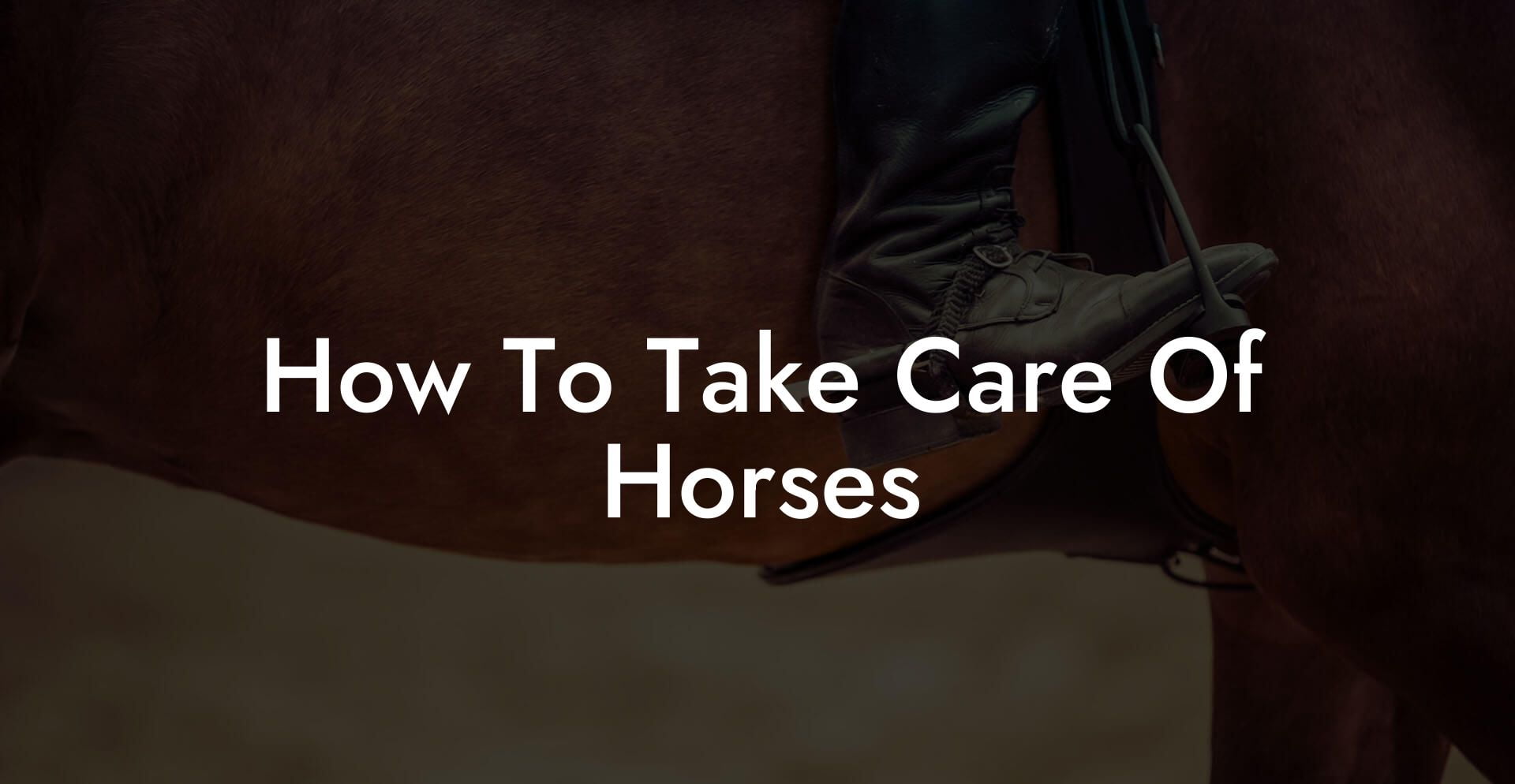 How To Take Care Of Horses