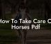 How To Take Care Of Horses Pdf