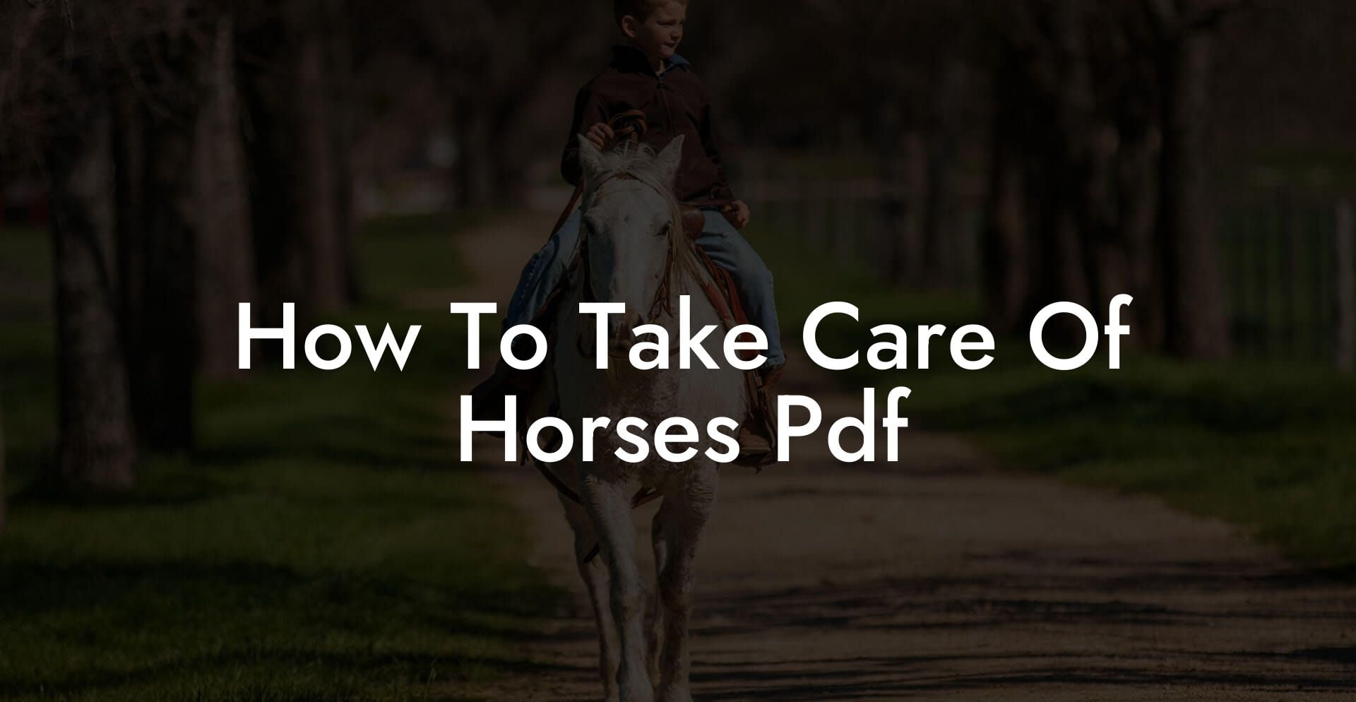 How To Take Care Of Horses Pdf