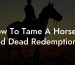 How To Tame A Horse In Red Dead Redemption 2