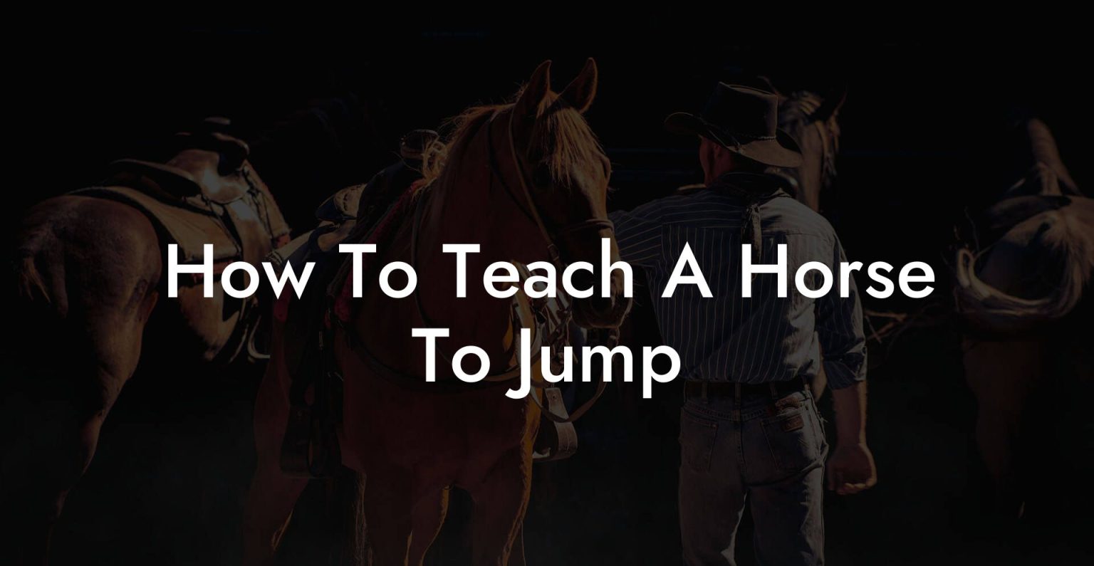 How To Teach A Horse To Jump How To Own a Horse