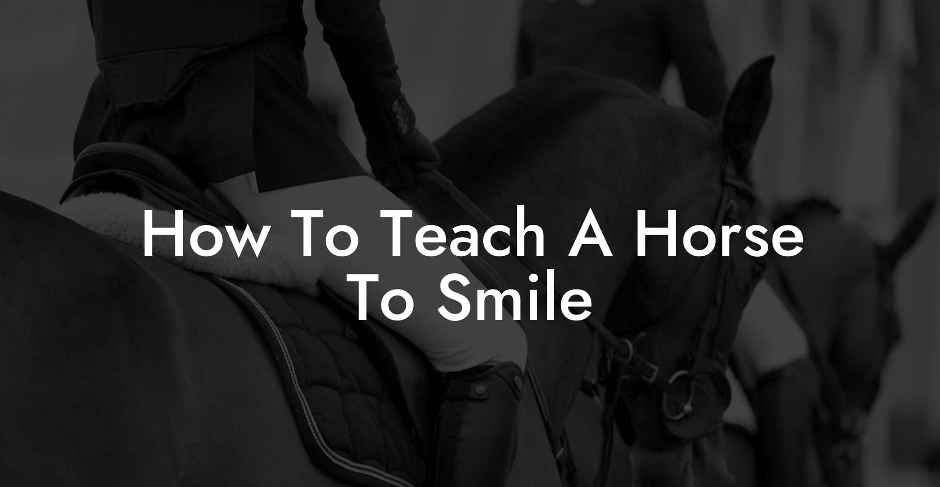 How To Teach A Horse To Smile