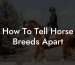 How To Tell Horse Breeds Apart