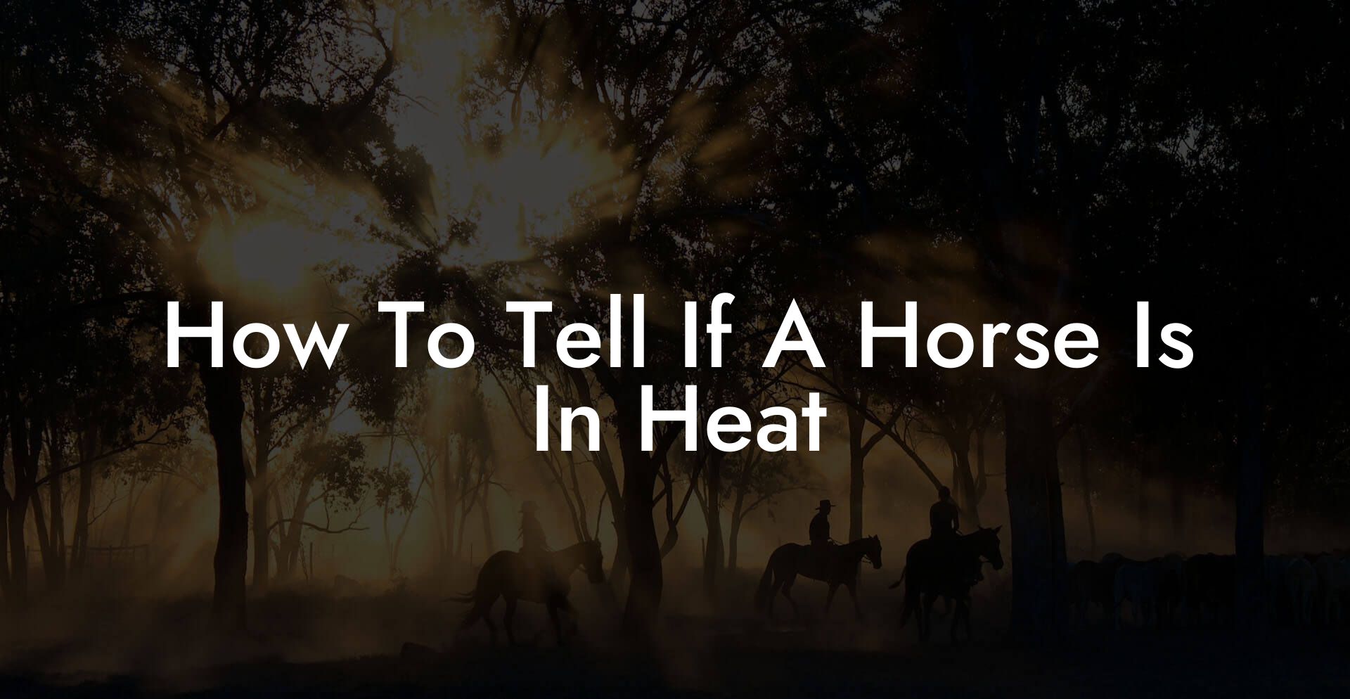 How To Tell If A Horse Is In Heat