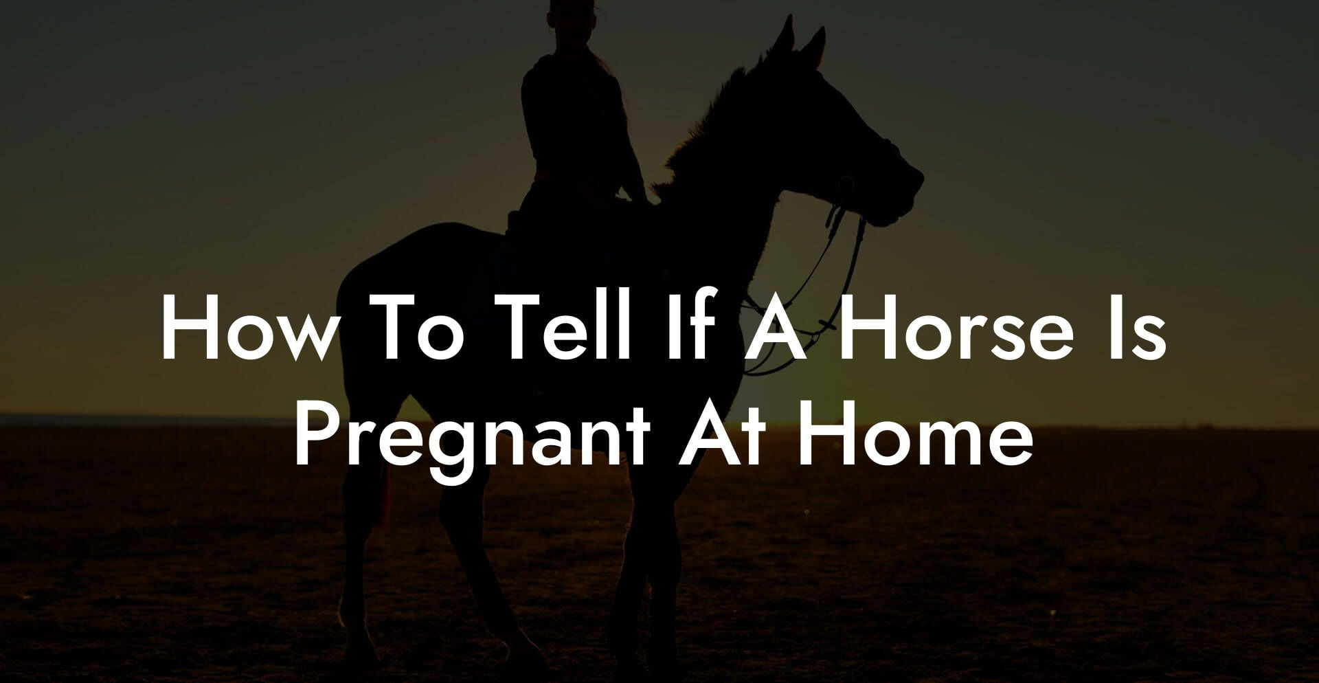How To Tell If A Horse Is Pregnant At Home