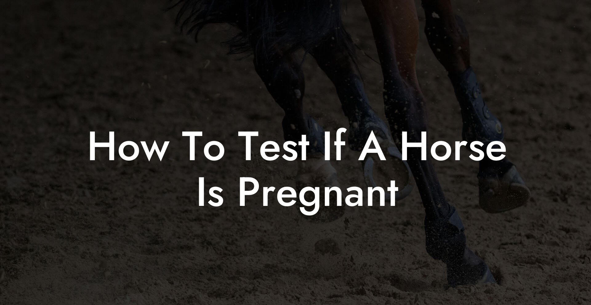 How To Test If A Horse Is Pregnant