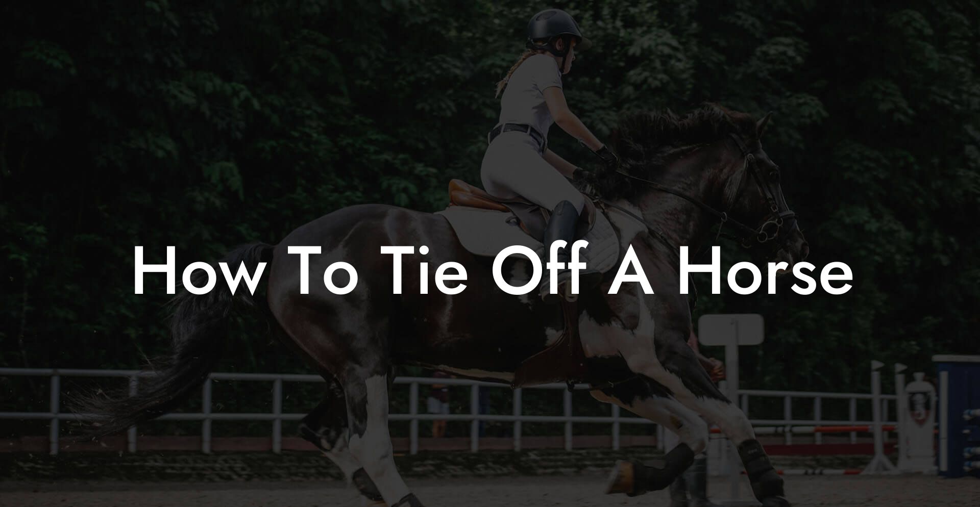 How To Tie Off A Horse