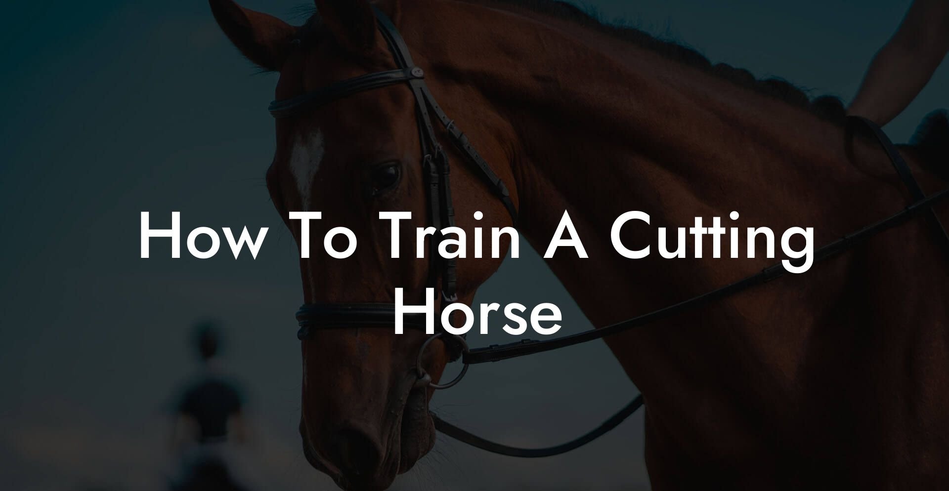 How To Train A Cutting Horse