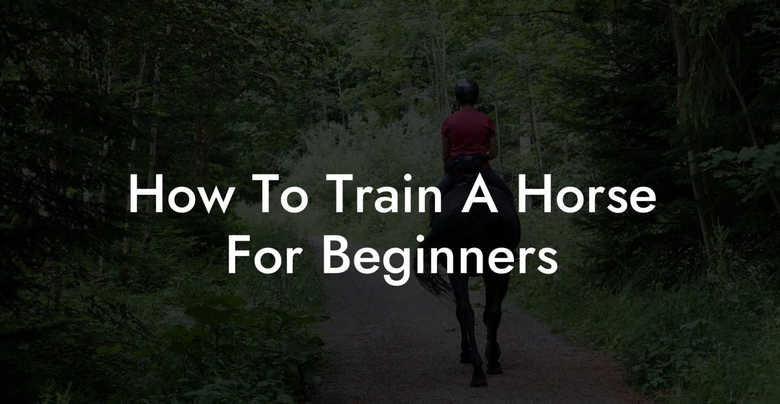 How To Train A Horse For Beginners How To Own a Horse