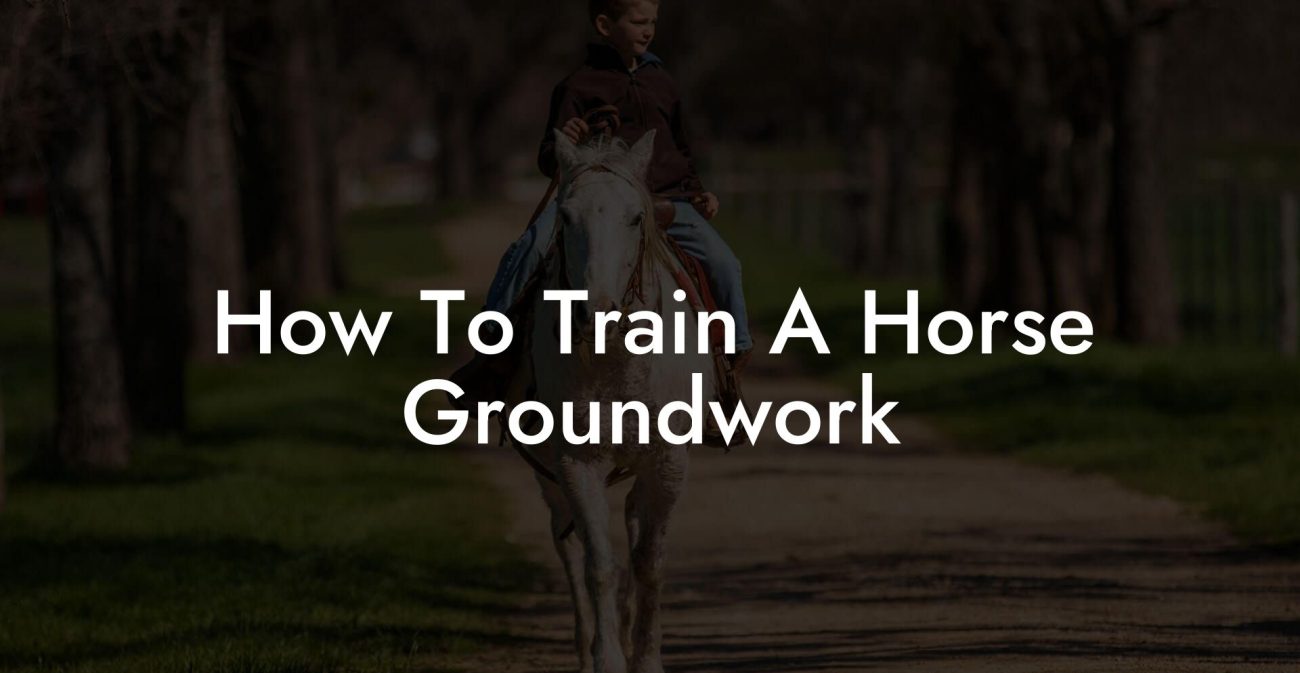 How To Train A Horse Groundwork