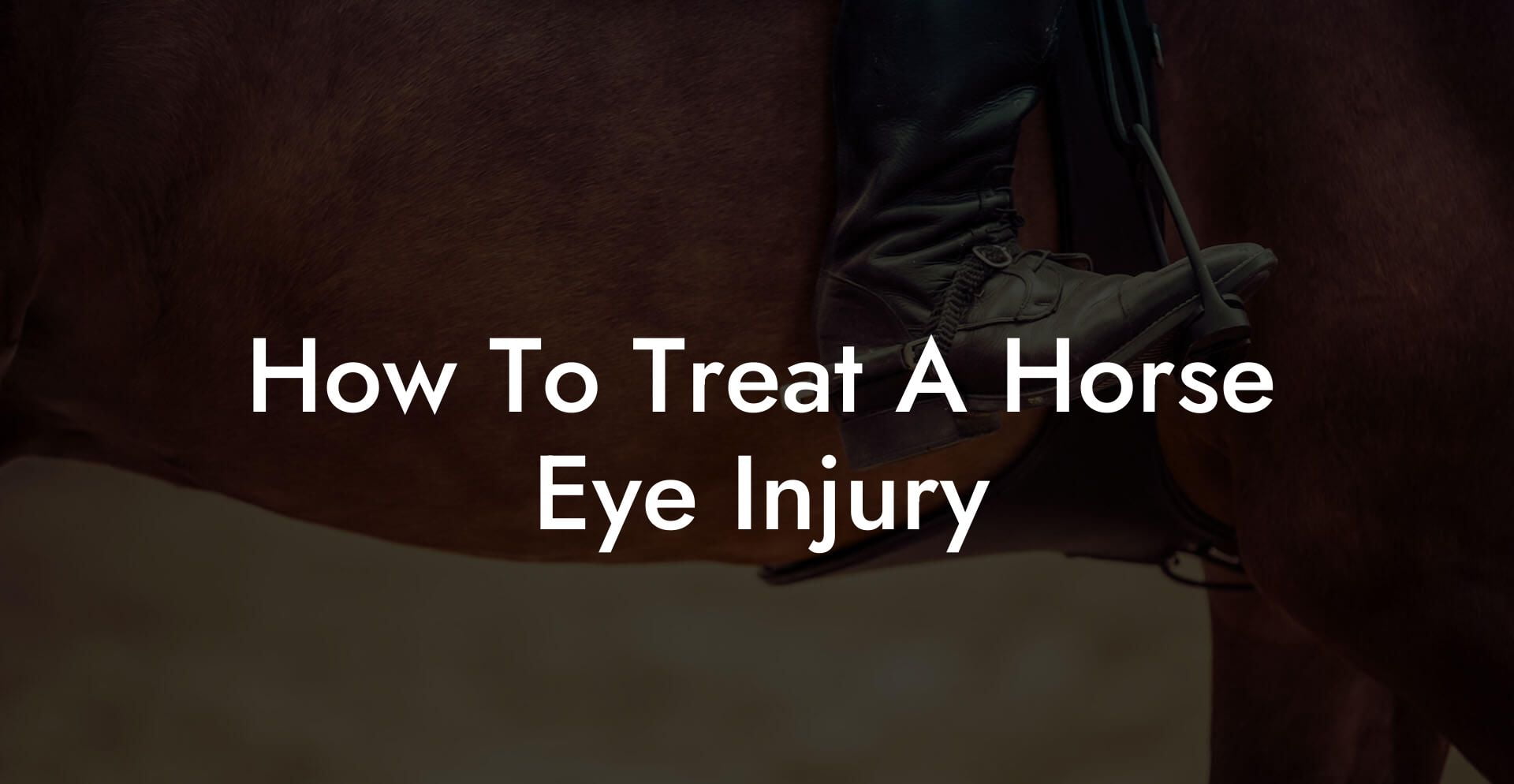 How To Treat A Horse Eye Injury