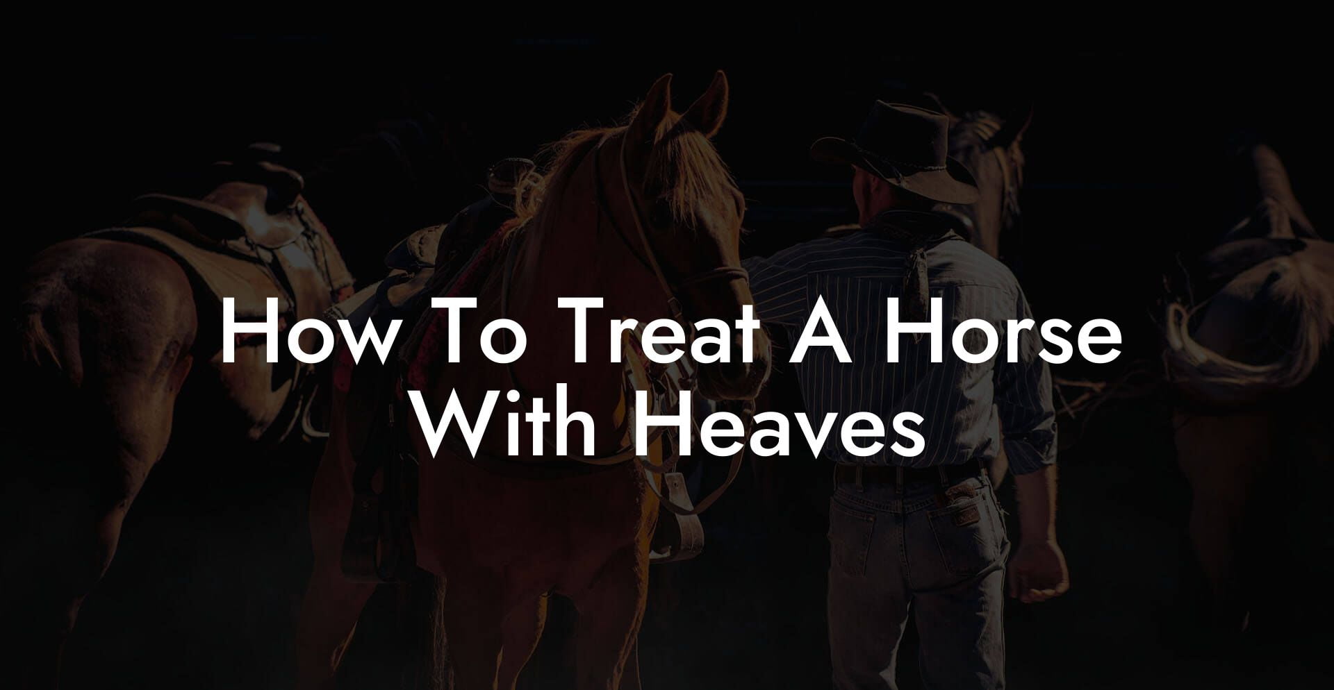 How To Treat A Horse With Heaves