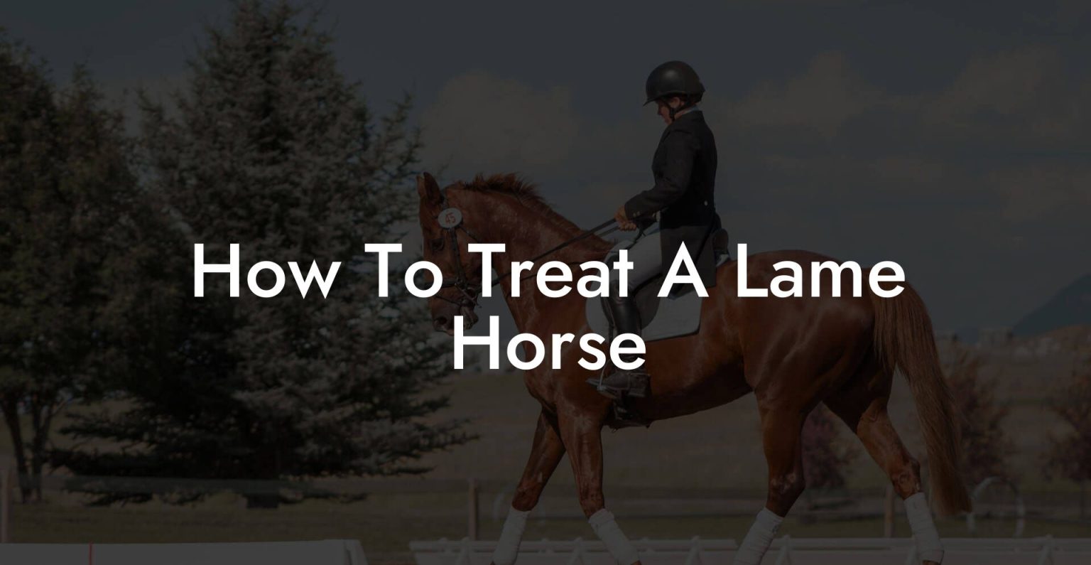 How To Treat A Lame Horse How To Own a Horse