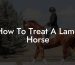 How To Treat A Lame Horse