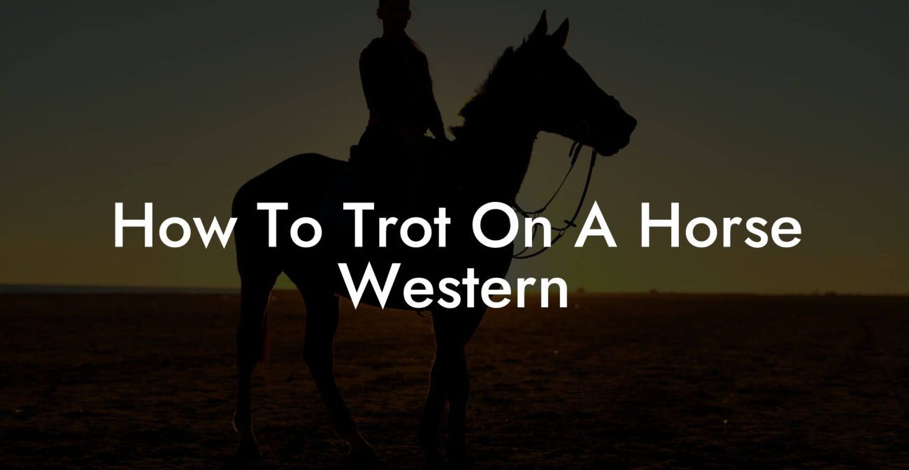 How To Trot On A Horse Western