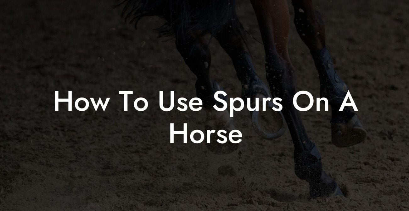 How To Use Spurs On A Horse