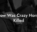 How Was Crazy Horse Killed