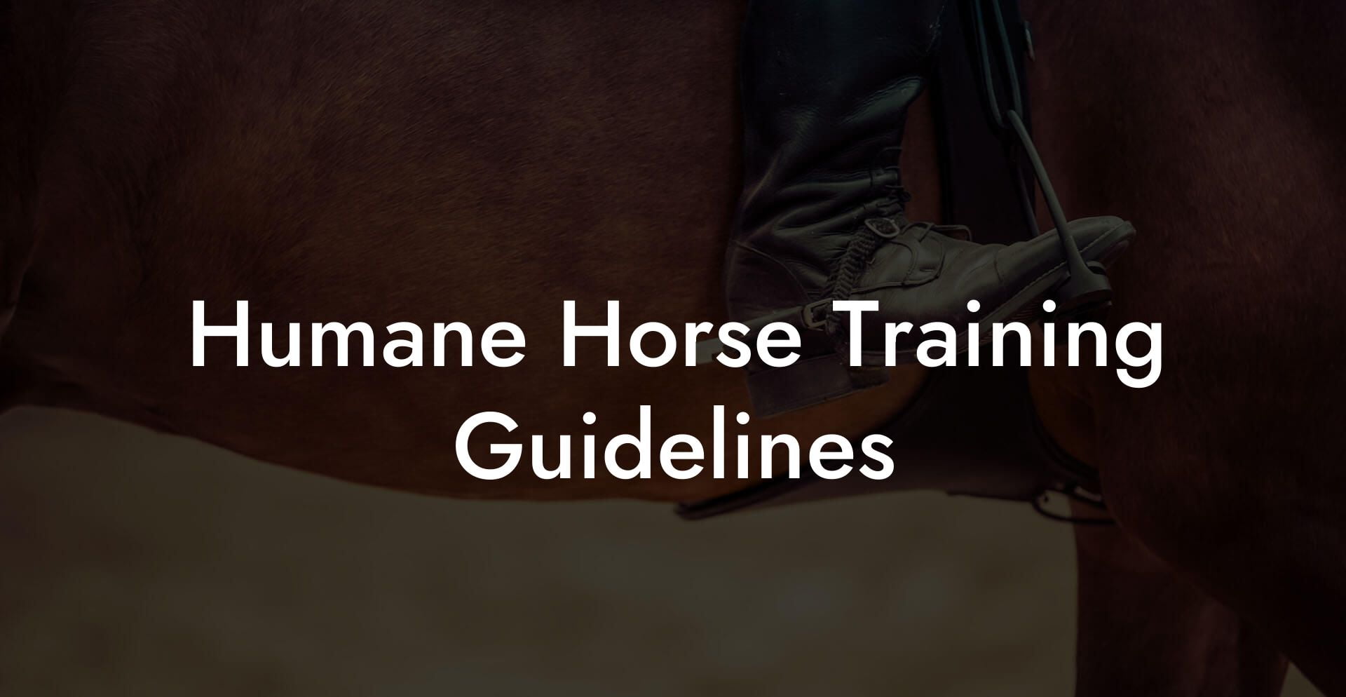 Humane Horse Training Guidelines