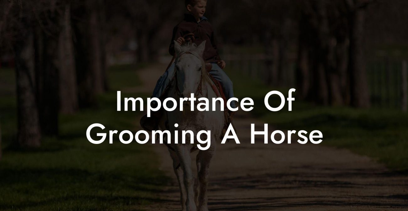 Importance Of Grooming A Horse