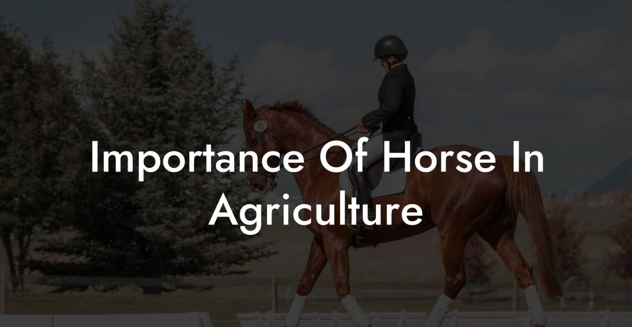 Importance Of Horse In Agriculture