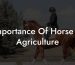 Importance Of Horse In Agriculture
