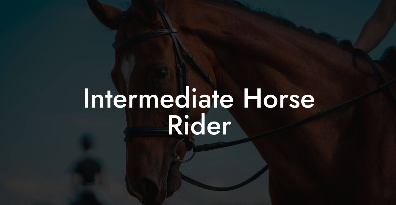 Intermediate Horse Rider