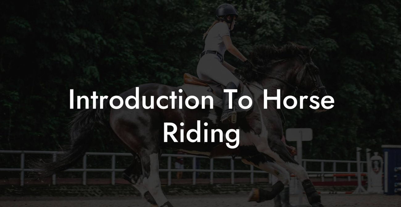 Introduction To Horse Riding