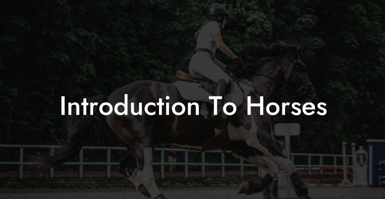 Introduction To Horses