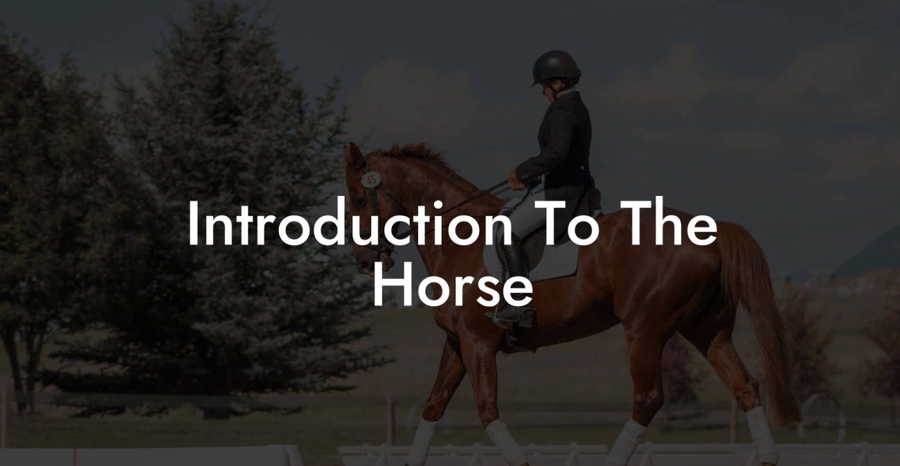 Introduction To The Horse
