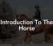 Introduction To The Horse