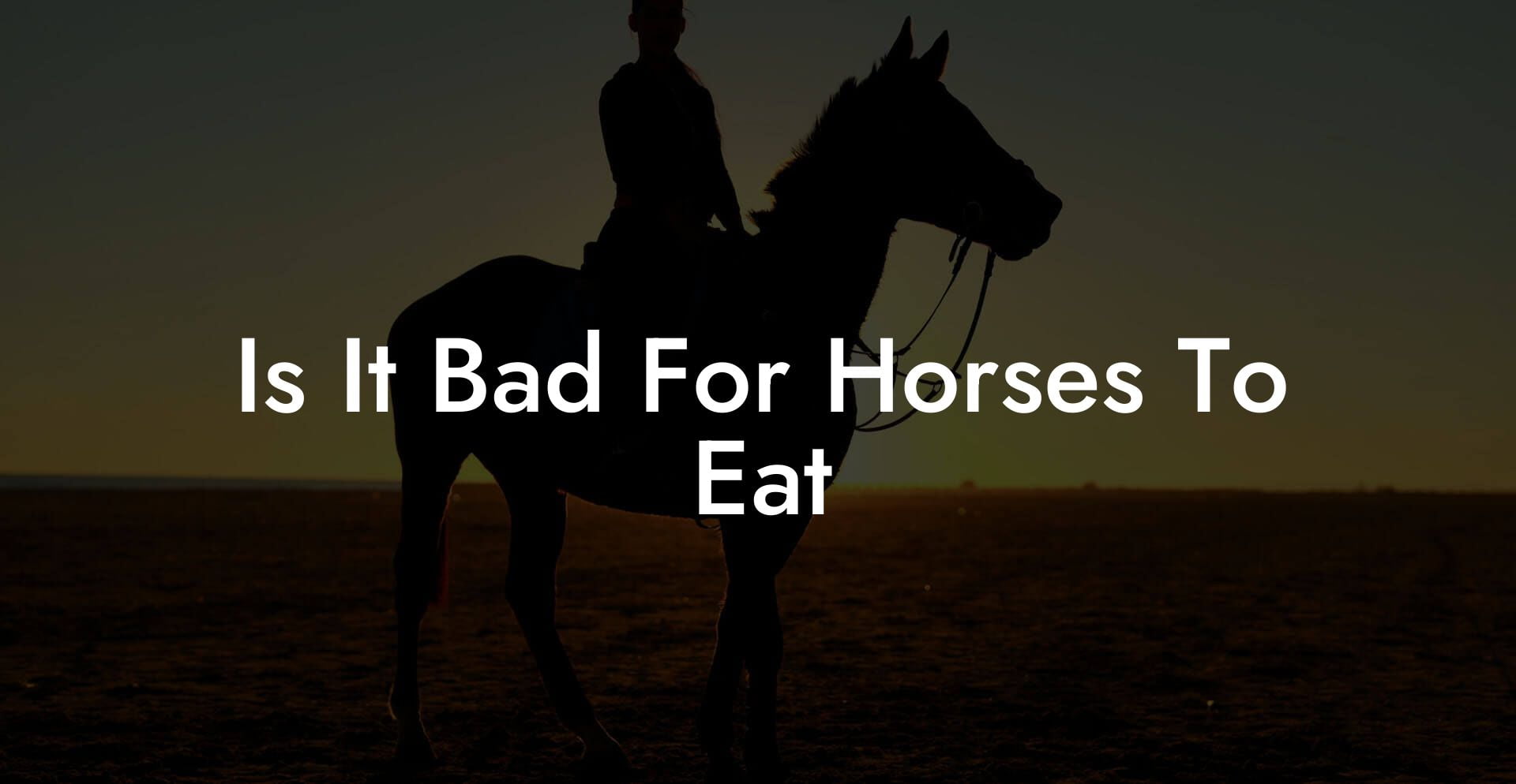 Is It Bad For Horses To Eat