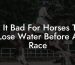 Is It Bad For Horses To Lose Water Before A Race