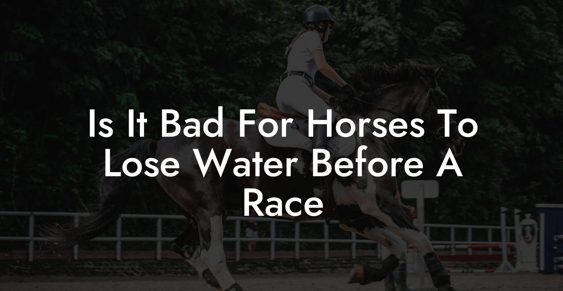 Is It Bad For Horses To Lose Water Before A Race