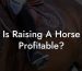 Is Raising A Horse Profitable?