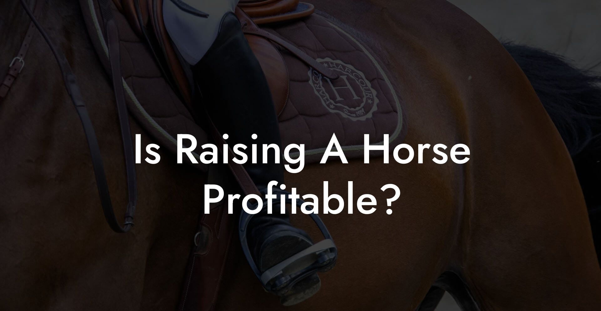 Is Raising A Horse Profitable?