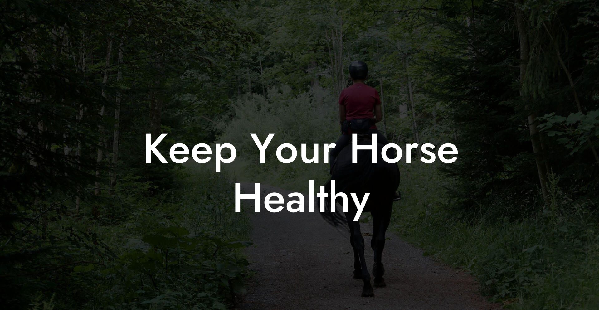 Keep Your Horse Healthy