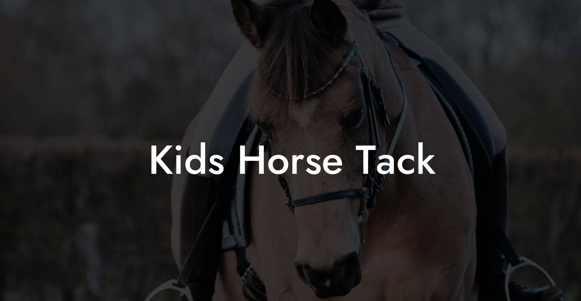 Kids Horse Tack