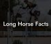 Long Horse Facts