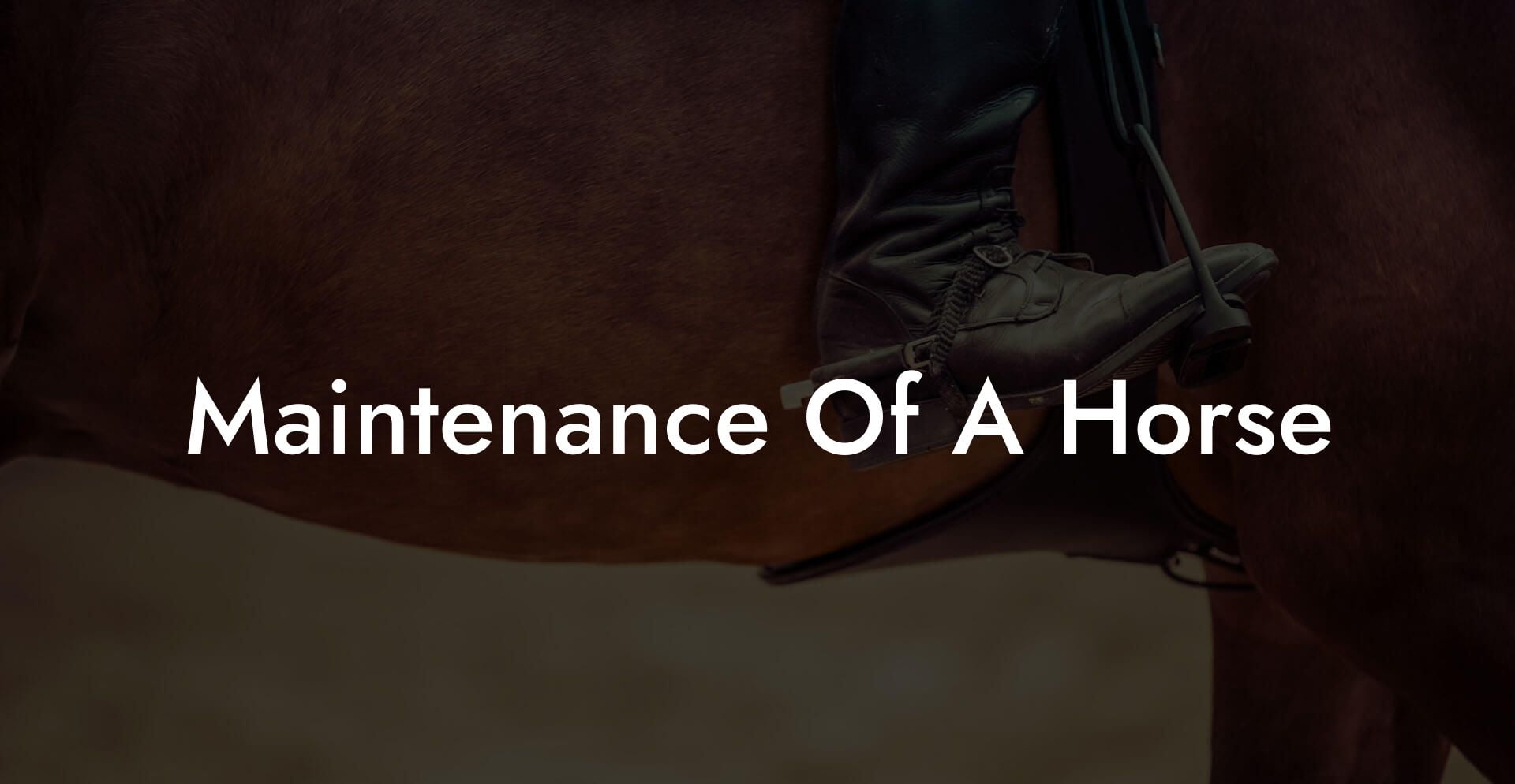 Maintenance Of A Horse