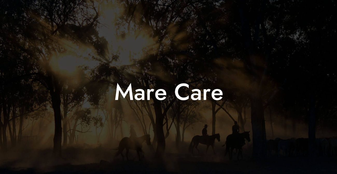 Mare Care