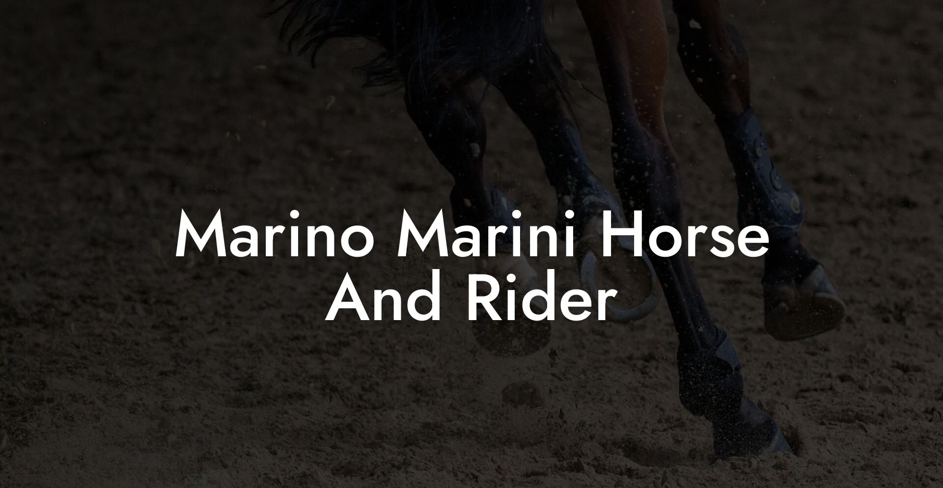 Marino Marini Horse And Rider