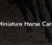 Miniature Horse Care