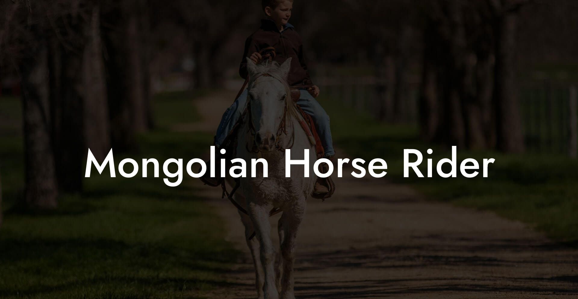 Mongolian Horse Rider