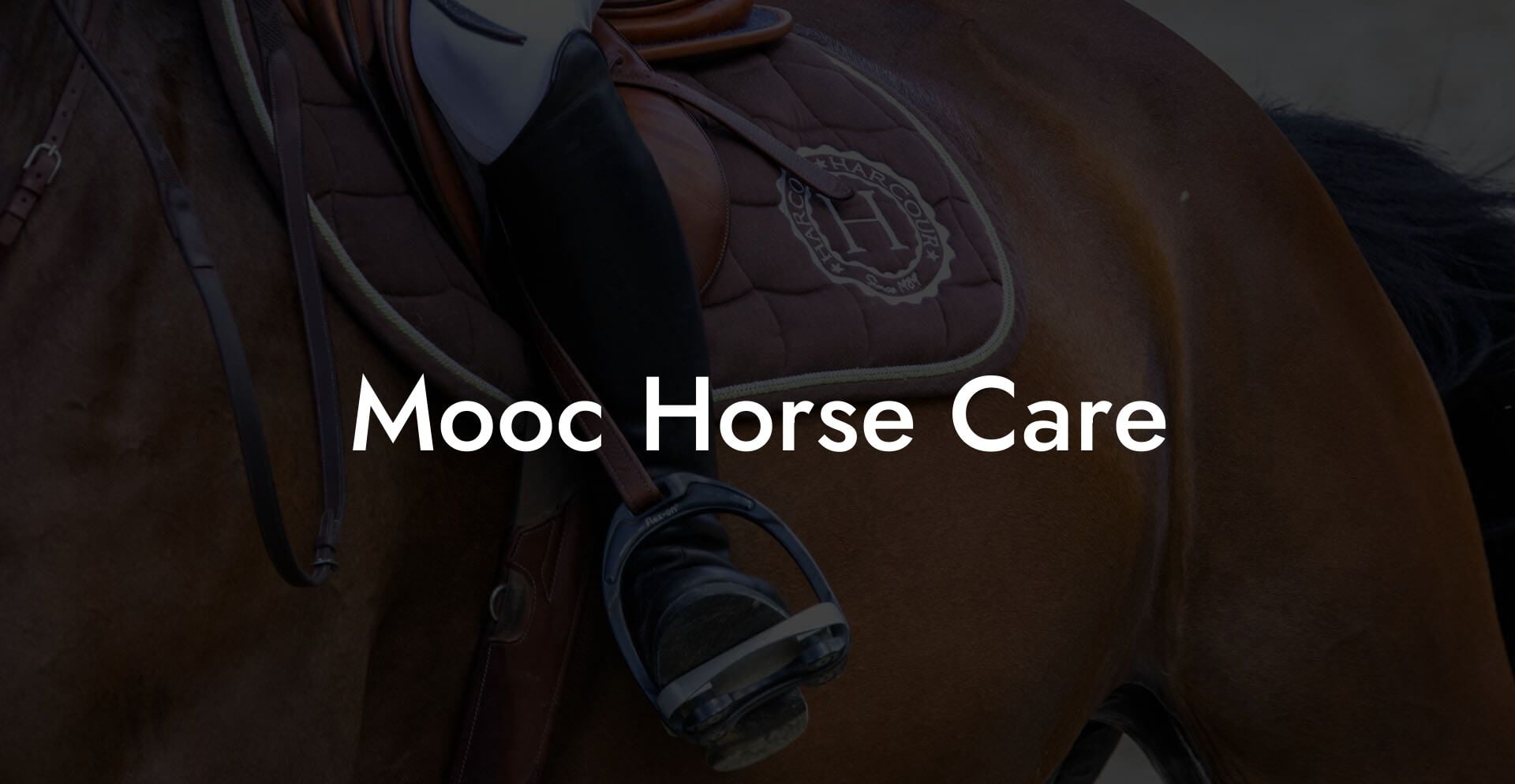 Mooc Horse Care
