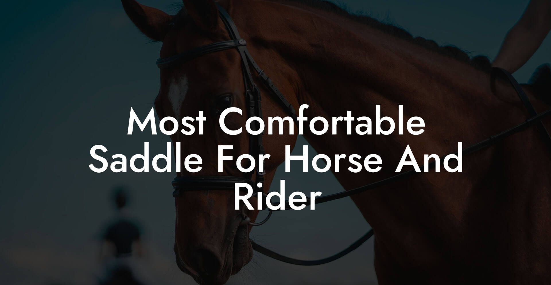 Most Comfortable Saddle For Horse And Rider