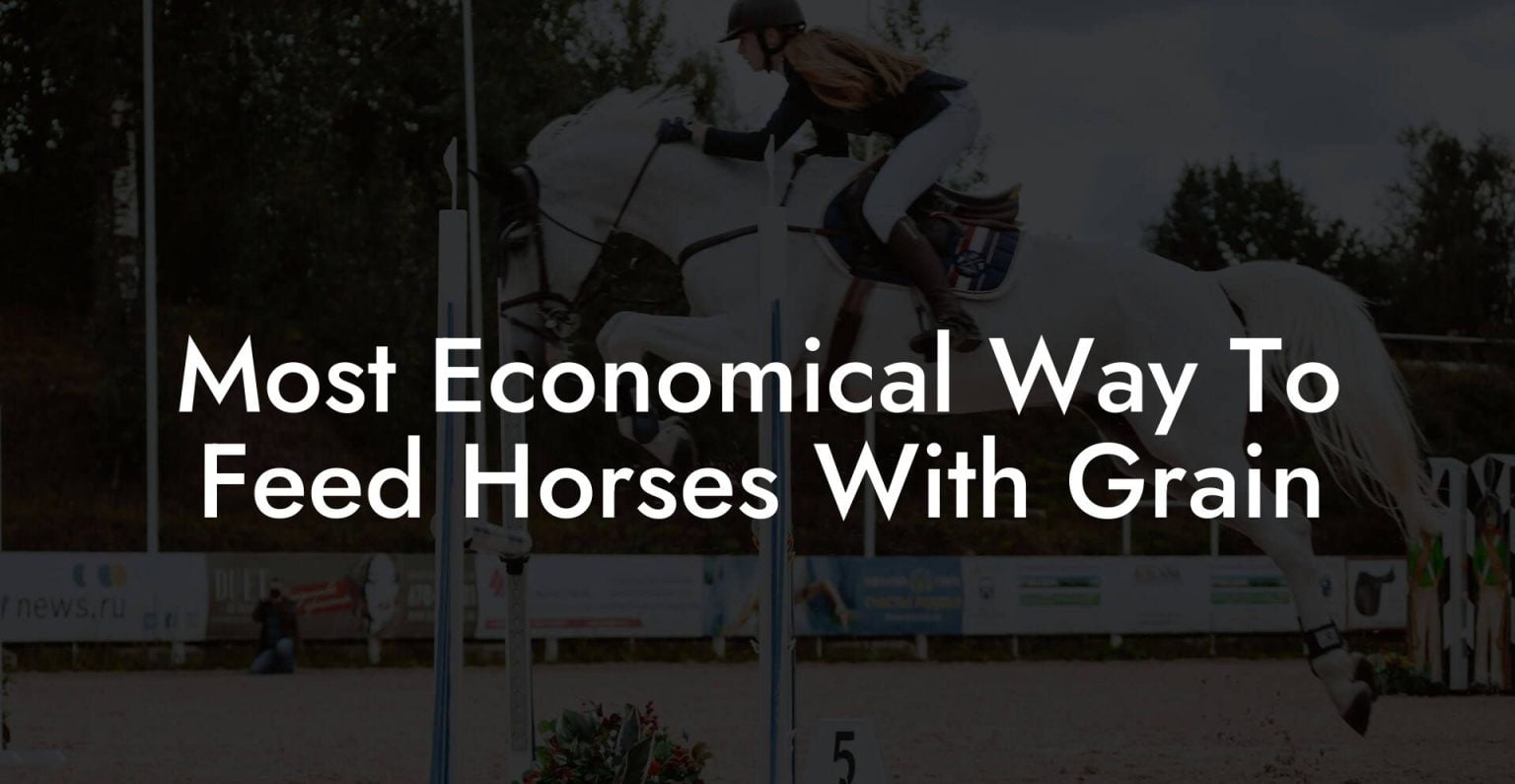 Most Economical Way To Feed Horses With Grain How To Own a Horse