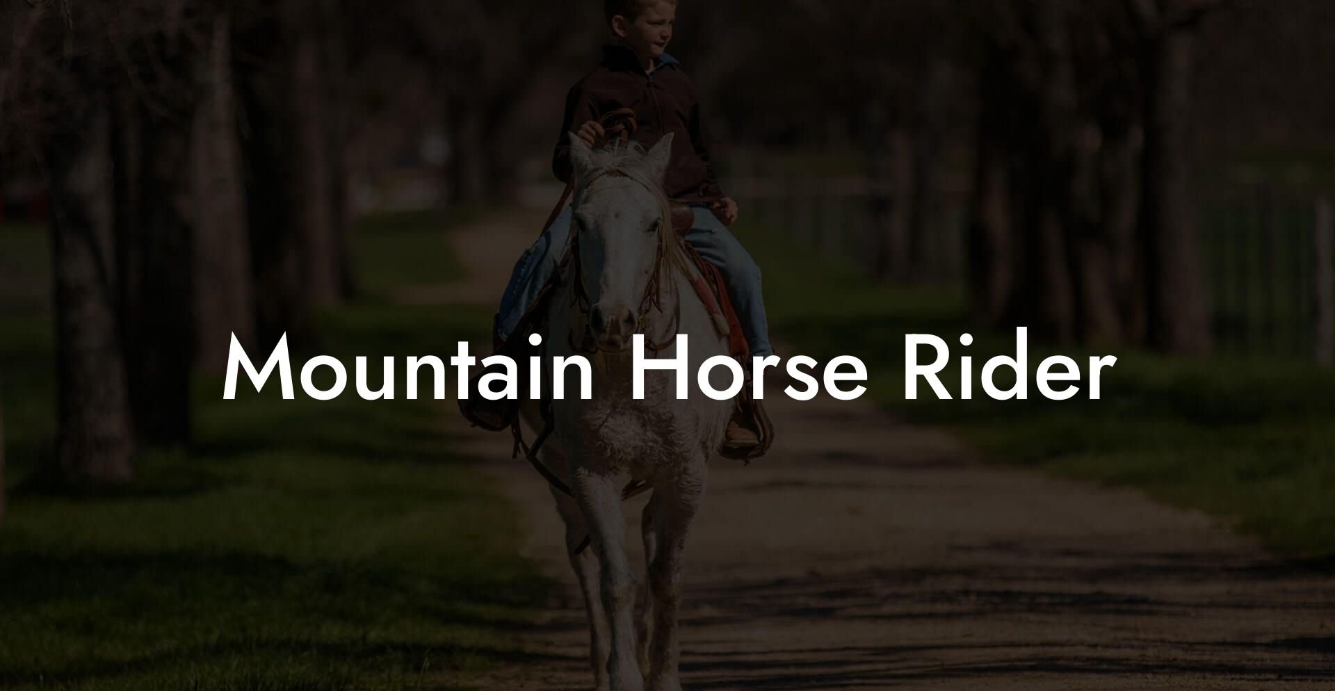 Mountain Horse Rider