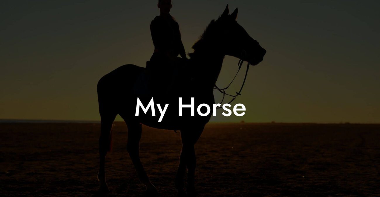 My Horse