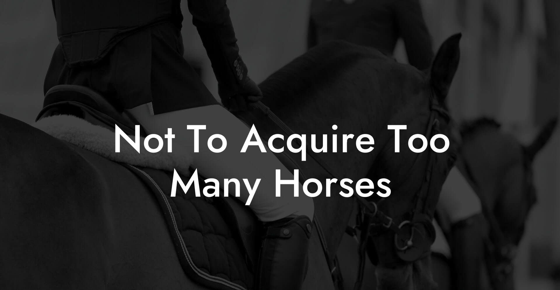 Not To Acquire Too Many Horses
