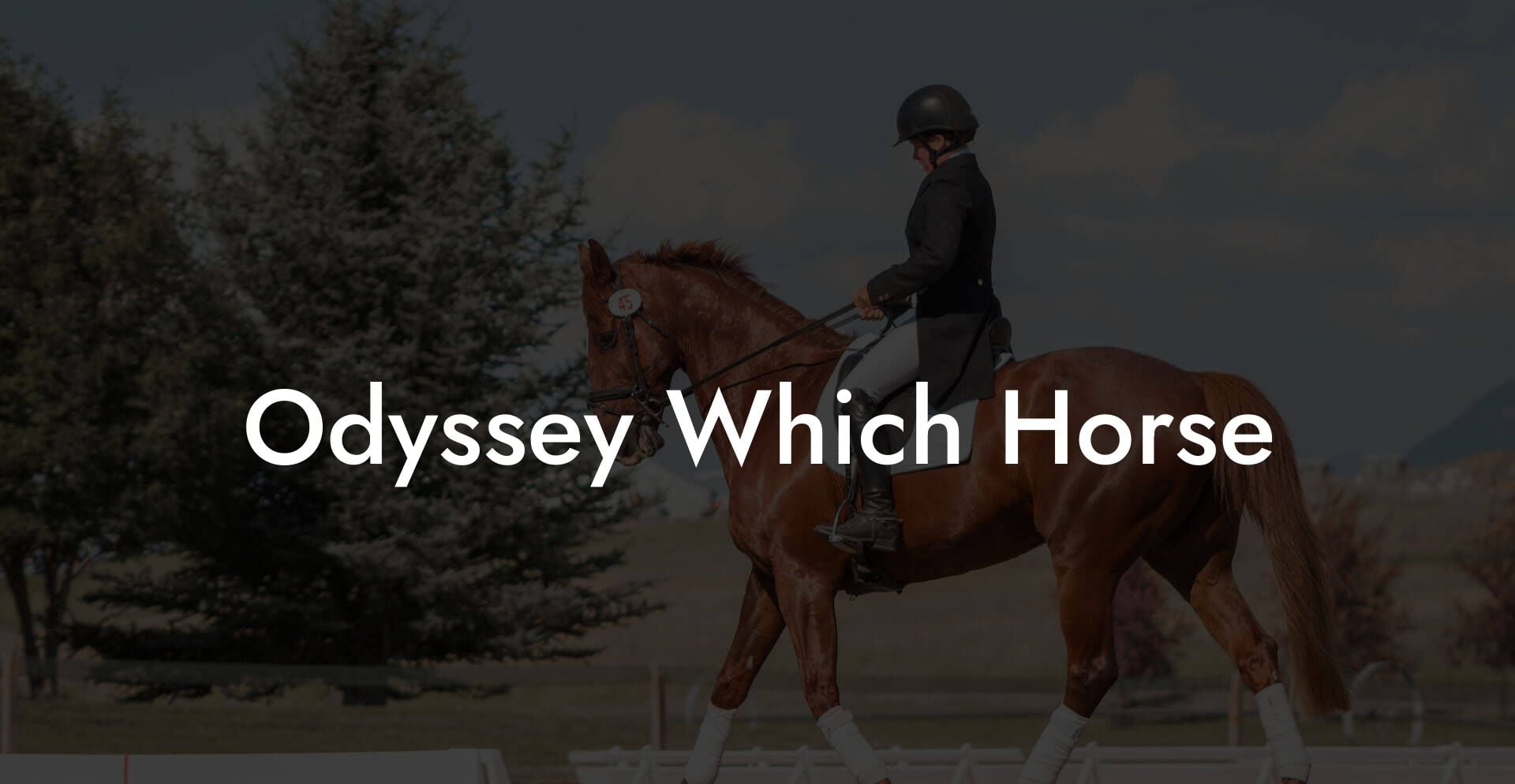 Odyssey Which Horse